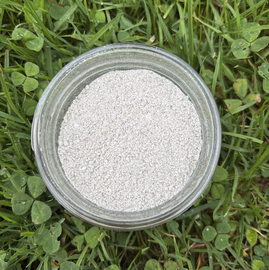 Open glass jar looking down at powdered product. Jar is surrounded by green grass and clover by Garden Path Homemade Soap. 100% Natural Ingredients