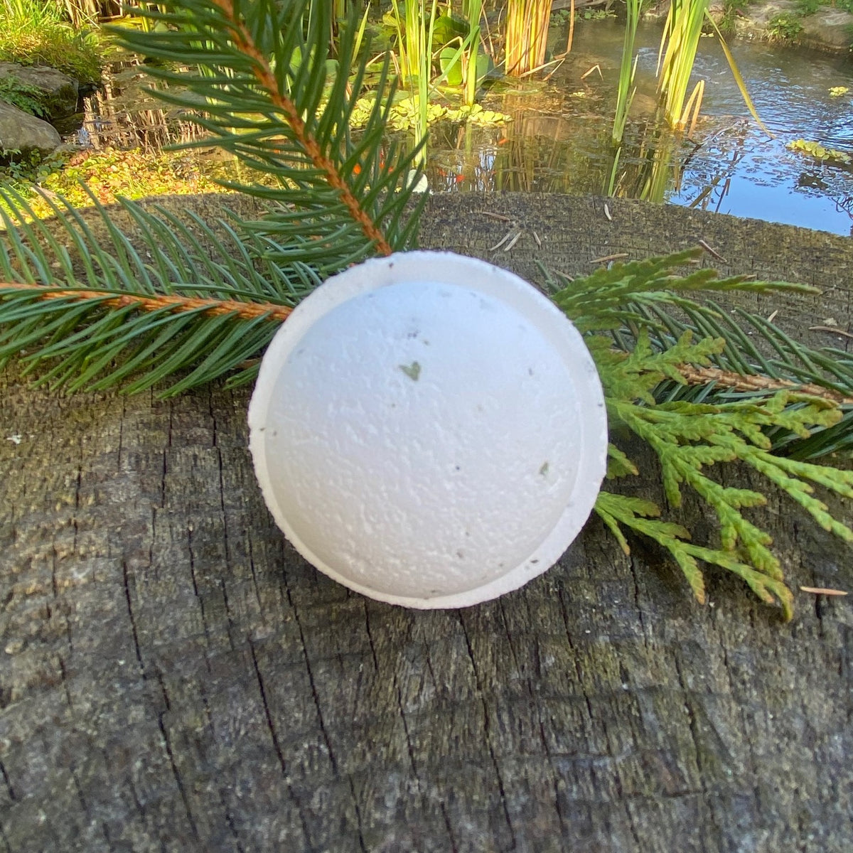 A Boreal Bliss Bath Bomb with a round shape placed on a wooden surface, surrounded by green pine needles and cedar  branches by Garden Path Homemade Soap
